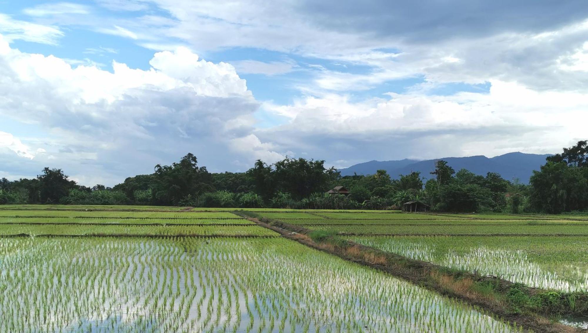 Wichouda Homestay 清佬 外观 照片
